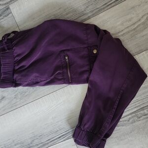 Purple Jogger Pants Banana Repuplic XS